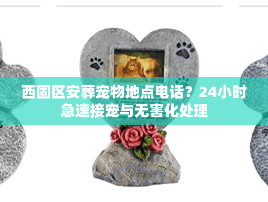 西固区安葬宠物地点电话？24小时急速接宠与无害化处理