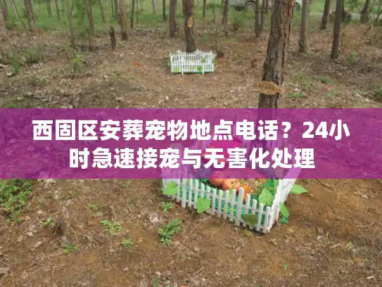 西固区安葬宠物地点电话？24小时急速接宠与无害化处理