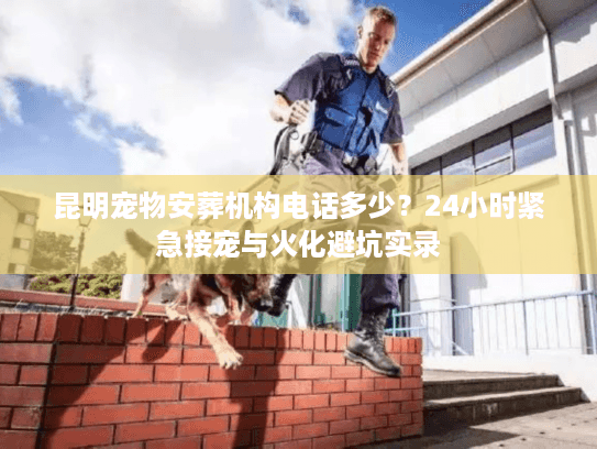 昆明宠物安葬机构电话多少？24小时紧急接宠与火化避坑实录