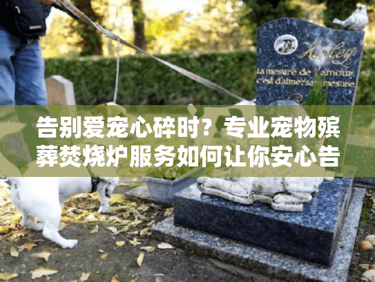 告别爱宠心碎时？专业宠物殡葬焚烧炉服务如何让你安心告别