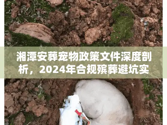 湘潭安葬宠物政策文件深度剖析,2024年合规殡葬避坑实录 湘潭安葬宠物政策文件深度剖析,2024年合规殡葬避坑实录