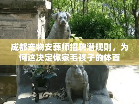 成都宠物安葬师招聘潜规则，为何这决定你家毛孩子的体面