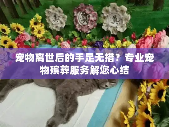 宠物离世后的手足无措？专业宠物殡葬服务解您心结