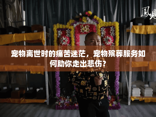 宠物离世时的痛苦迷茫，宠物殡葬服务如何助你走出悲伤？