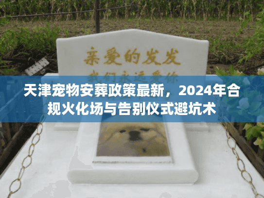天津宠物安葬政策最新，2024年合规火化场与告别仪式避坑术