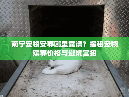 南宁宠物安葬哪里靠谱？揭秘宠物殡葬价格与避坑实招