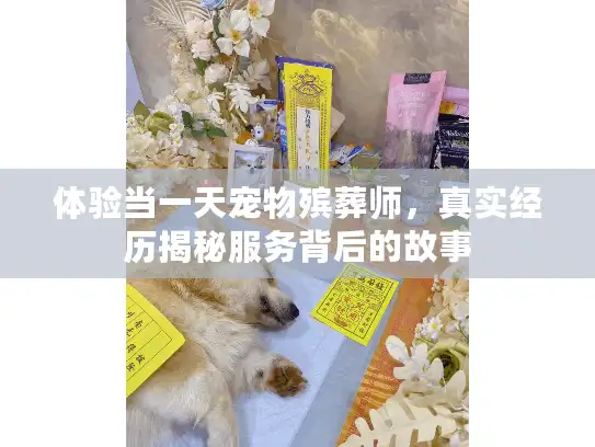 体验当一天宠物殡葬师,真实经历揭秘服务背后的故事 体验当一天宠物殡葬师,真实经历揭秘服务背后的故事