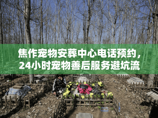 焦作宠物安葬中心电话预约,24小时宠物善后服务避坑流程 焦作宠物安葬中心电话预约,24小时宠物善后服务避坑流程