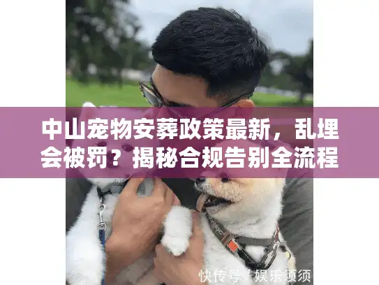 中山宠物安葬政策最新,乱埋会被罚?揭秘合规告别全流程 中山宠物安葬政策最新,乱埋会被罚?揭秘合规告别全流程