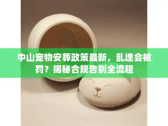 中山宠物安葬政策最新,乱埋会被罚?揭秘合规告别全流程 中山宠物安葬政策最新,乱埋会被罚?揭秘合规告别全流程