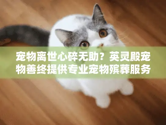 宠物离世心碎无助?英灵殿宠物善终提供专业宠物殡葬服务指南 宠物离世心碎无助?英灵殿宠物善终提供专业宠物殡葬服务指南