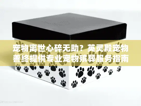 宠物离世心碎无助?英灵殿宠物善终提供专业宠物殡葬服务指南 宠物离世心碎无助?英灵殿宠物善终提供专业宠物殡葬服务指南