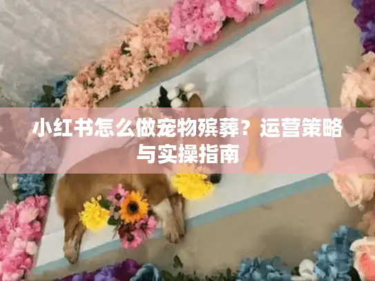 小红书怎么做宠物殡葬？运营策略与实操指南
