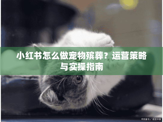 小红书怎么做宠物殡葬？运营策略与实操指南