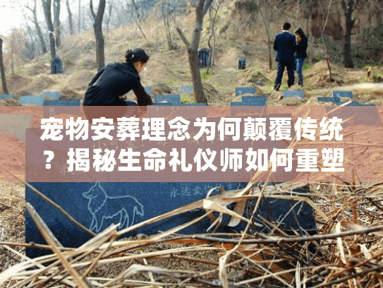 宠物安葬理念为何颠覆传统？揭秘生命礼仪师如何重塑告别