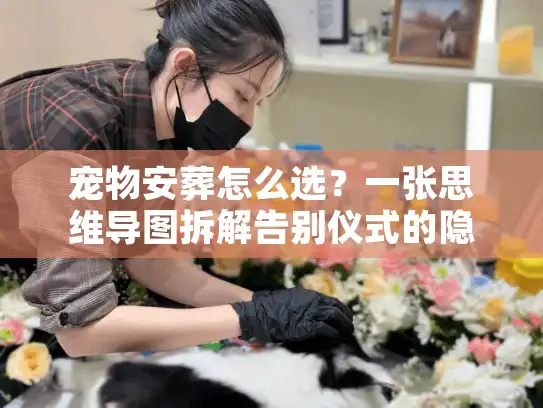 宠物安葬怎么选？一张思维导图拆解告别仪式的隐形门道