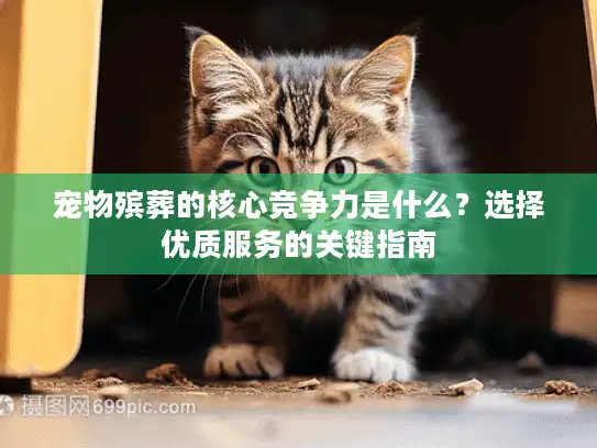 宠物殡葬的核心竞争力是什么？选择优质服务的关键指南