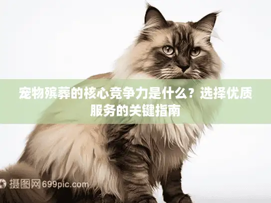 宠物殡葬的核心竞争力是什么？选择优质服务的关键指南