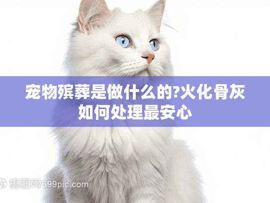 宠物殡葬是做什么的?火化骨灰如何处理最安心