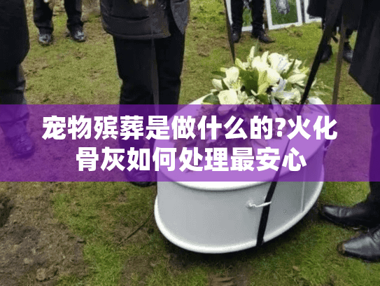 宠物殡葬是做什么的?火化骨灰如何处理最安心