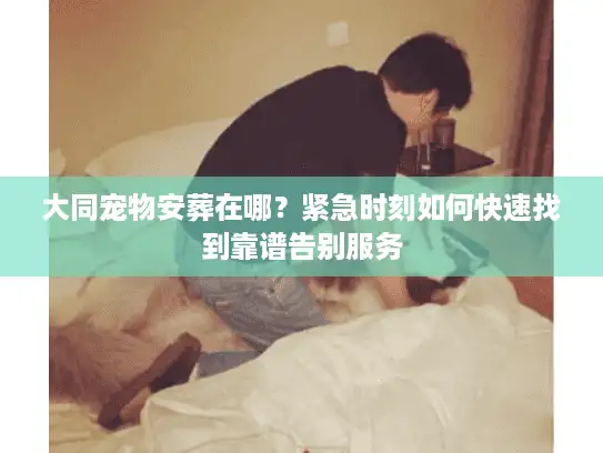 大同宠物安葬在哪？紧急时刻如何快速找到靠谱告别服务