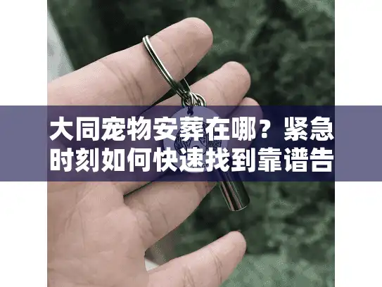 大同宠物安葬在哪？紧急时刻如何快速找到靠谱告别服务