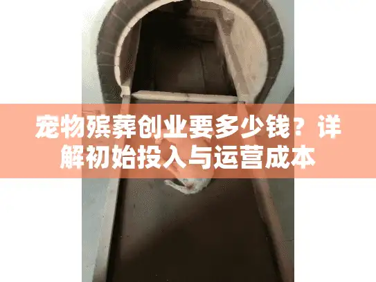 宠物殡葬创业要多少钱？详解初始投入与运营成本