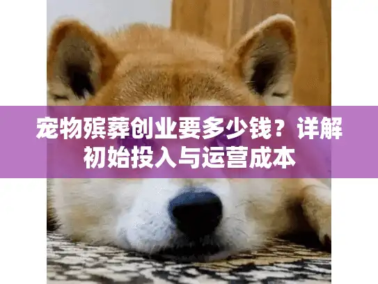 宠物殡葬创业要多少钱？详解初始投入与运营成本
