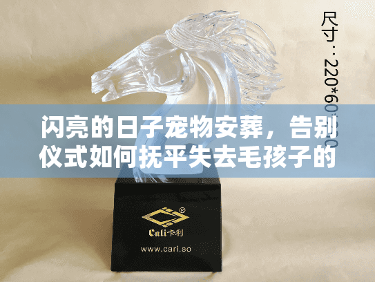 闪亮的日子宠物安葬,告别仪式如何抚平失去毛孩子的伤痛? 闪亮的日子宠物安葬,告别仪式如何抚平失去毛孩子的伤痛?