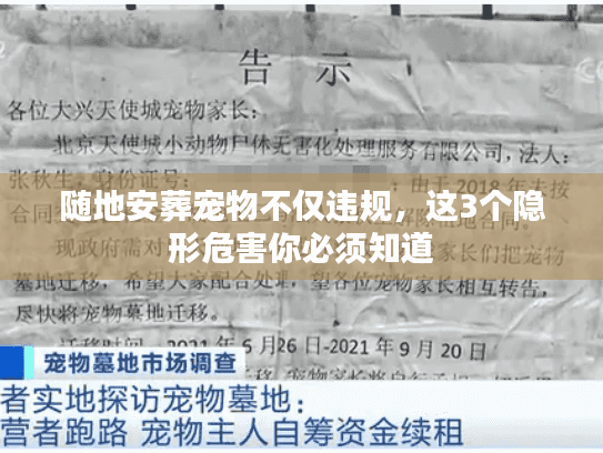 随地安葬宠物不仅违规，这3个隐形危害你必须知道