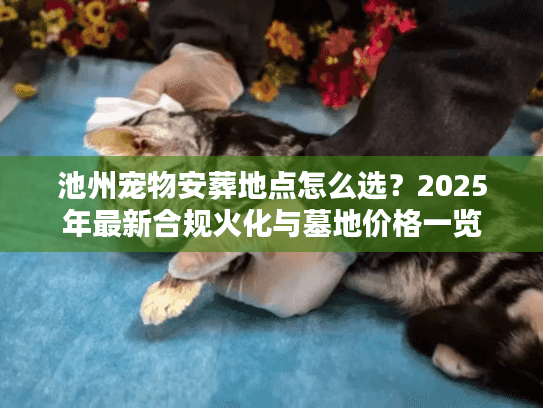 池州宠物安葬地点怎么选？2025年最新合规火化与墓地价格一览