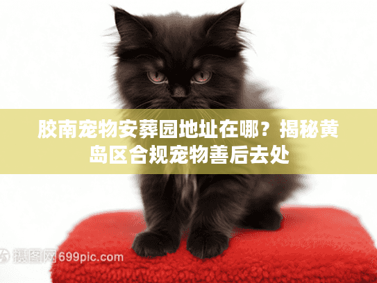 胶南宠物安葬园地址在哪?揭秘黄岛区合规宠物善后去处 胶南宠物安葬园地址在哪?揭秘黄岛区合规宠物善后去处