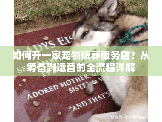如何开一家宠物殡葬服务店？从筹备到运营的全流程详解