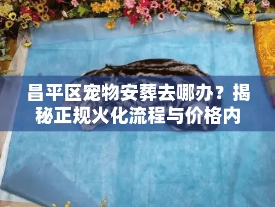 昌平区宠物安葬去哪办？揭秘正规火化流程与价格内幕