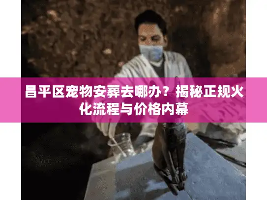 昌平区宠物安葬去哪办？揭秘正规火化流程与价格内幕