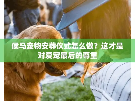 侯马宠物安葬仪式怎么做?这才是对爱宠最后的尊重 侯马宠物安葬仪式怎么做?这才是对爱宠最后的尊重