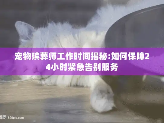 宠物殡葬师工作时间揭秘:如何保障24小时紧急告别服务