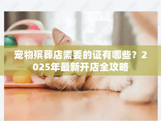 宠物殡葬店需要的证有哪些？2025年最新开店全攻略