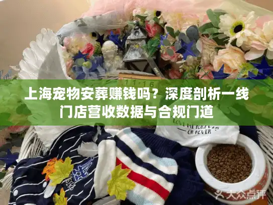 上海宠物安葬赚钱吗？深度剖析一线门店营收数据与合规门道