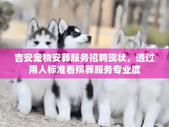 吉安宠物安葬服务招聘现状，透过用人标准看殡葬服务专业度