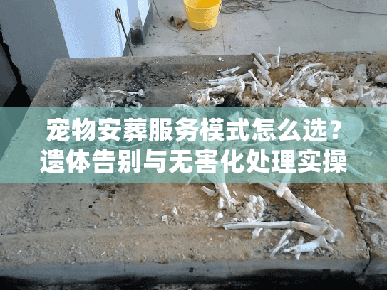 宠物安葬服务模式怎么选?遗体告别与无害化处理实操 宠物安葬服务模式怎么选?遗体告别与无害化处理实操