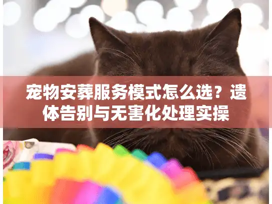 宠物安葬服务模式怎么选?遗体告别与无害化处理实操 宠物安葬服务模式怎么选?遗体告别与无害化处理实操