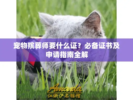 宠物殡葬师要什么证?必备证书及申请指南全解 宠物殡葬师要什么证?必备证书及申请指南全解