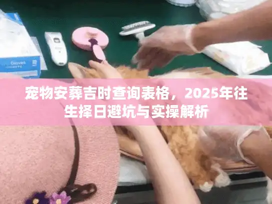 宠物安葬吉时查询表格,2025年往生择日避坑与实操解析 宠物安葬吉时查询表格,2025年往生择日避坑与实操解析