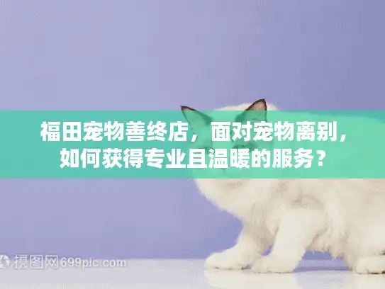 福田宠物善终店，面对宠物离别，如何获得专业且温暖的服务？