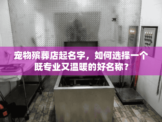 宠物殡葬店起名字，如何选择一个既专业又温暖的好名称？