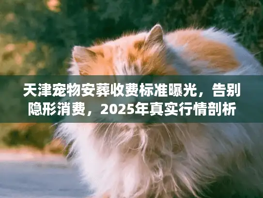 天津宠物安葬收费标准曝光，告别隐形消费，2025年真实行情剖析
