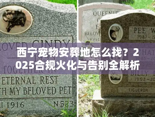 西宁宠物安葬地怎么找？2025合规火化与告别全解析