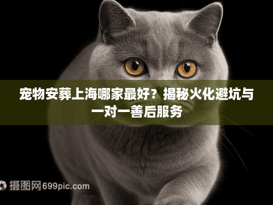 宠物安葬上海哪家最好？揭秘火化避坑与一对一善后服务