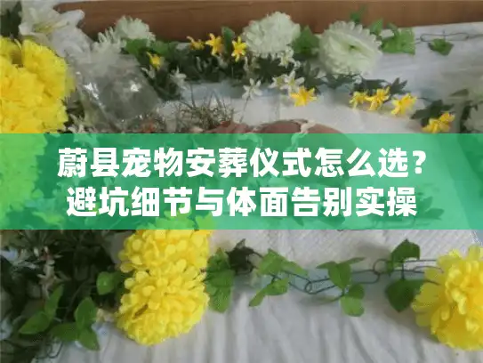 蔚县宠物安葬仪式怎么选?避坑细节与体面告别实操 蔚县宠物安葬仪式怎么选?避坑细节与体面告别实操